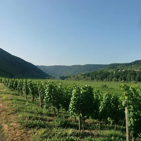 Vakantiehuis Comfortable Holiday Near Vineyards In *