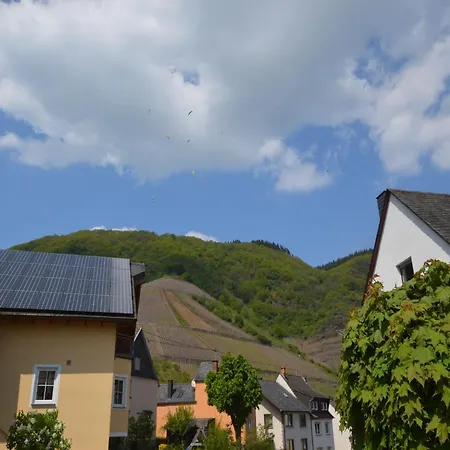 Comfortable Holiday Near Vineyards In Vakantiehuis *